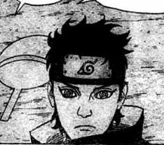 ShisuiManga.JPG