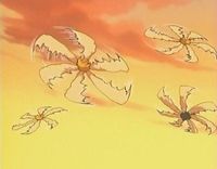 Flower shuriken.JPG