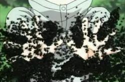 Bug wall.jpg